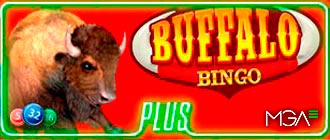 Bingo Buffalo